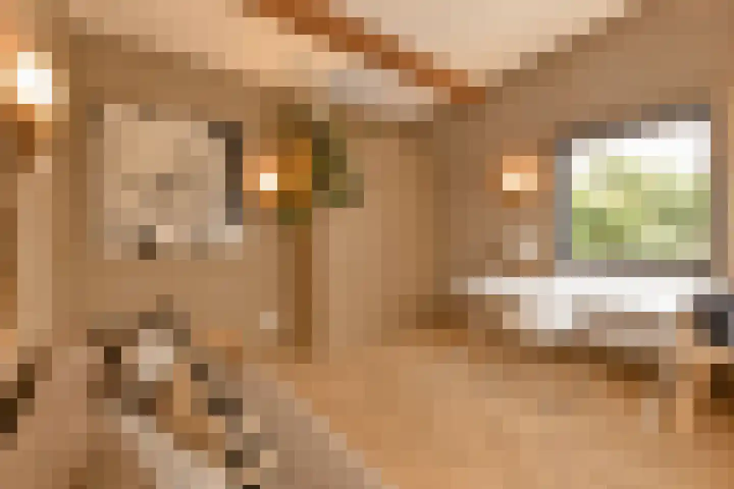 Wessel Gansfortstraat 56 Amsterdam thumbnail 30