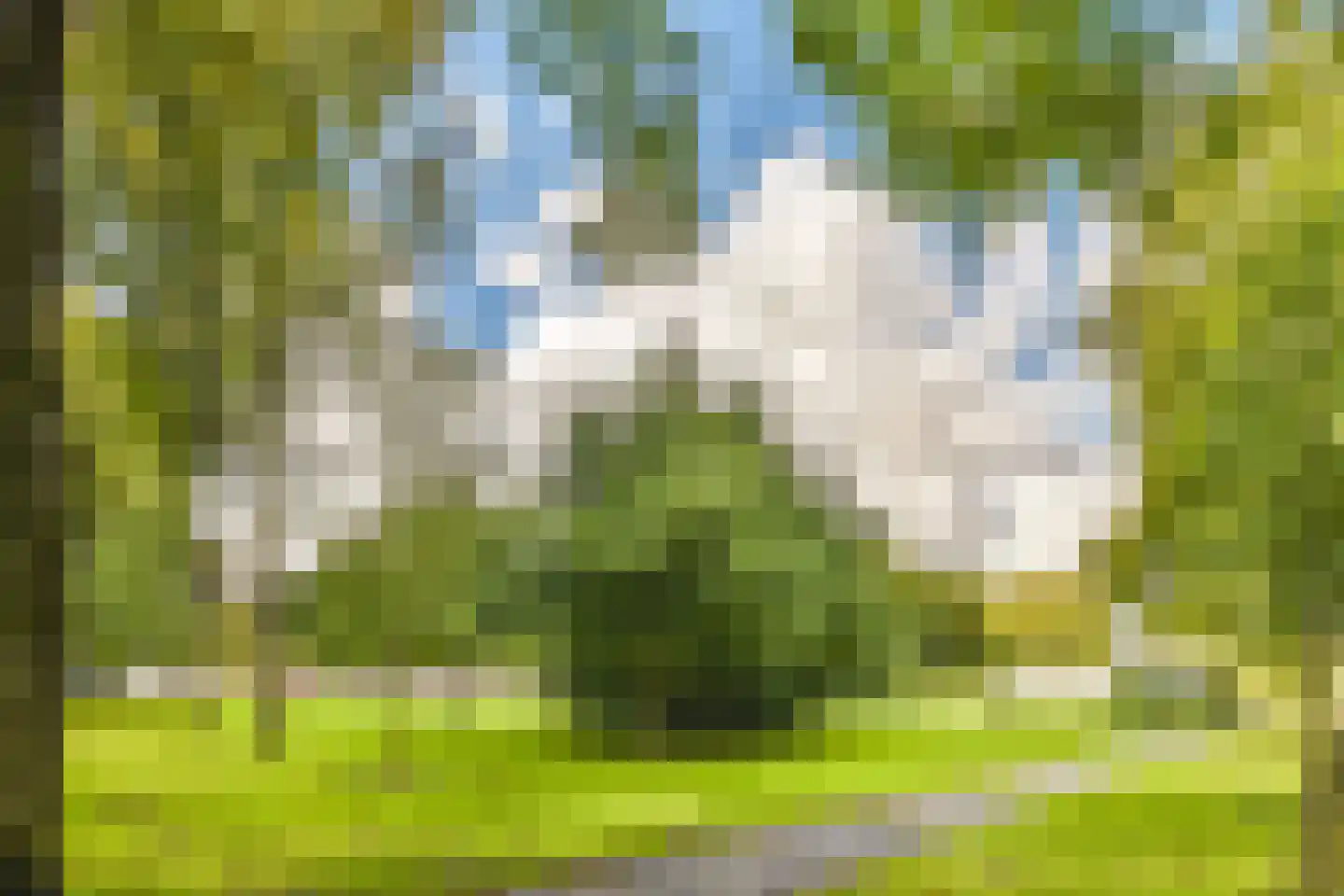 Wessel Gansfortstraat 56 Amsterdam thumbnail 38
