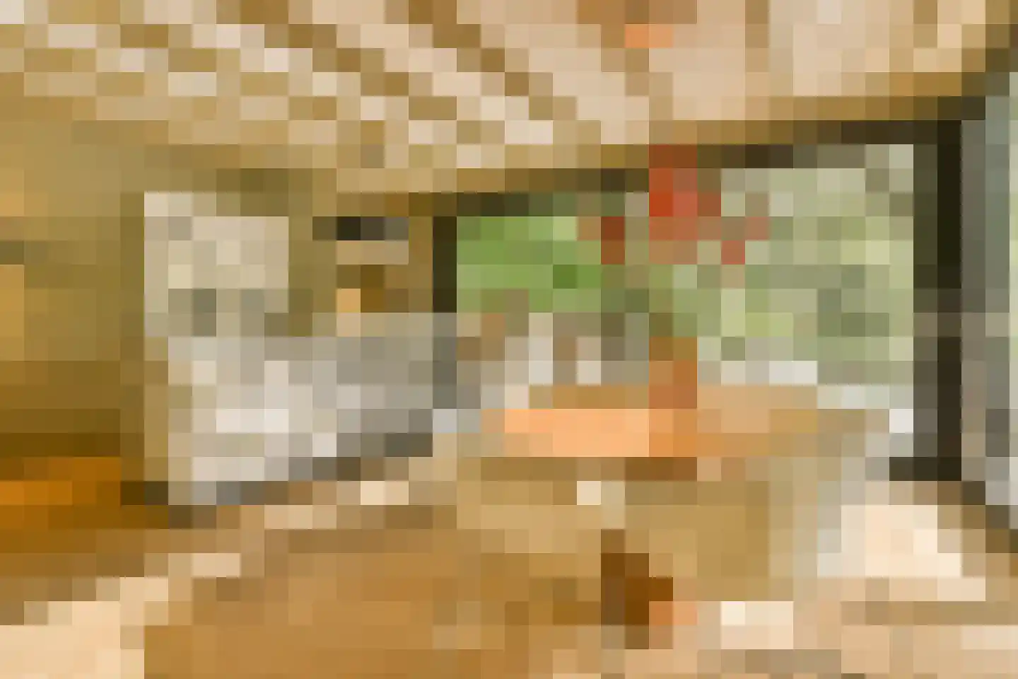 Wessel Gansfortstraat 56 Amsterdam thumbnail 4