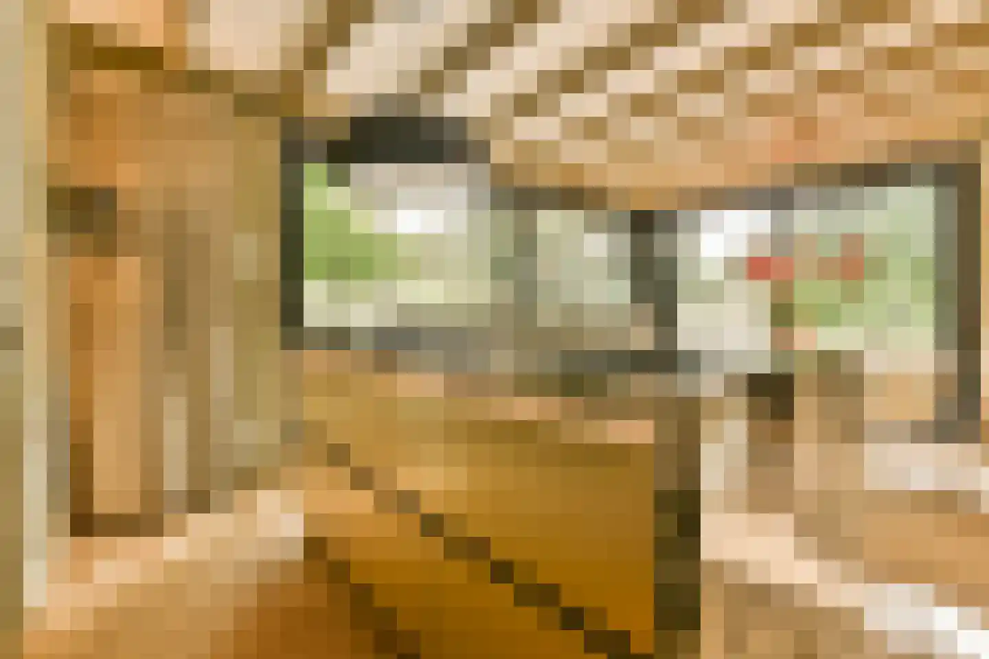 Wessel Gansfortstraat 56 Amsterdam thumbnail 8