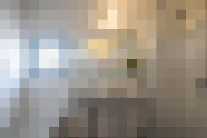 Wessel Ilckenstraat 11 Amsterdam thumbnail 38