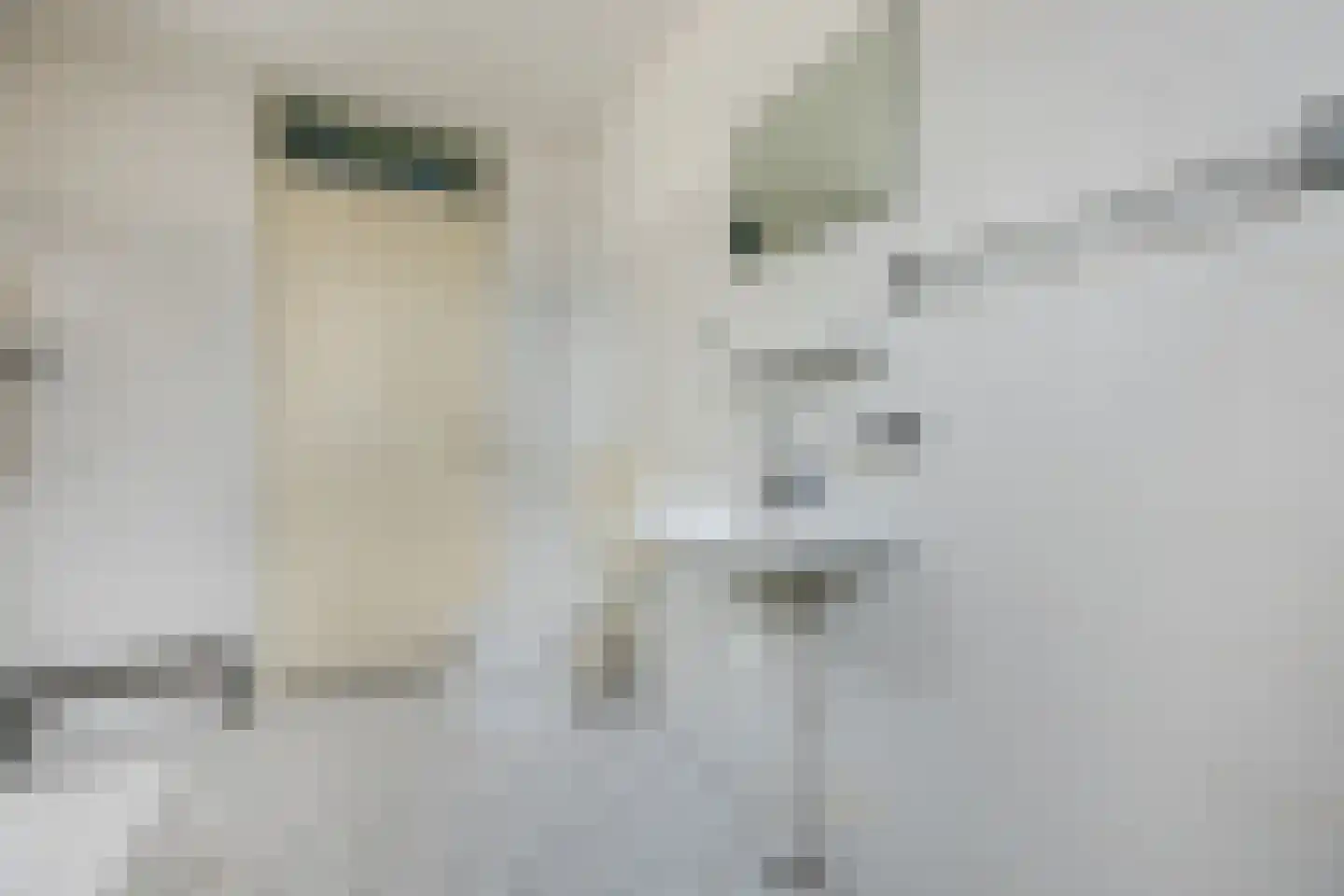Wessel Ilckenstraat 16 Rotterdam thumbnail 30