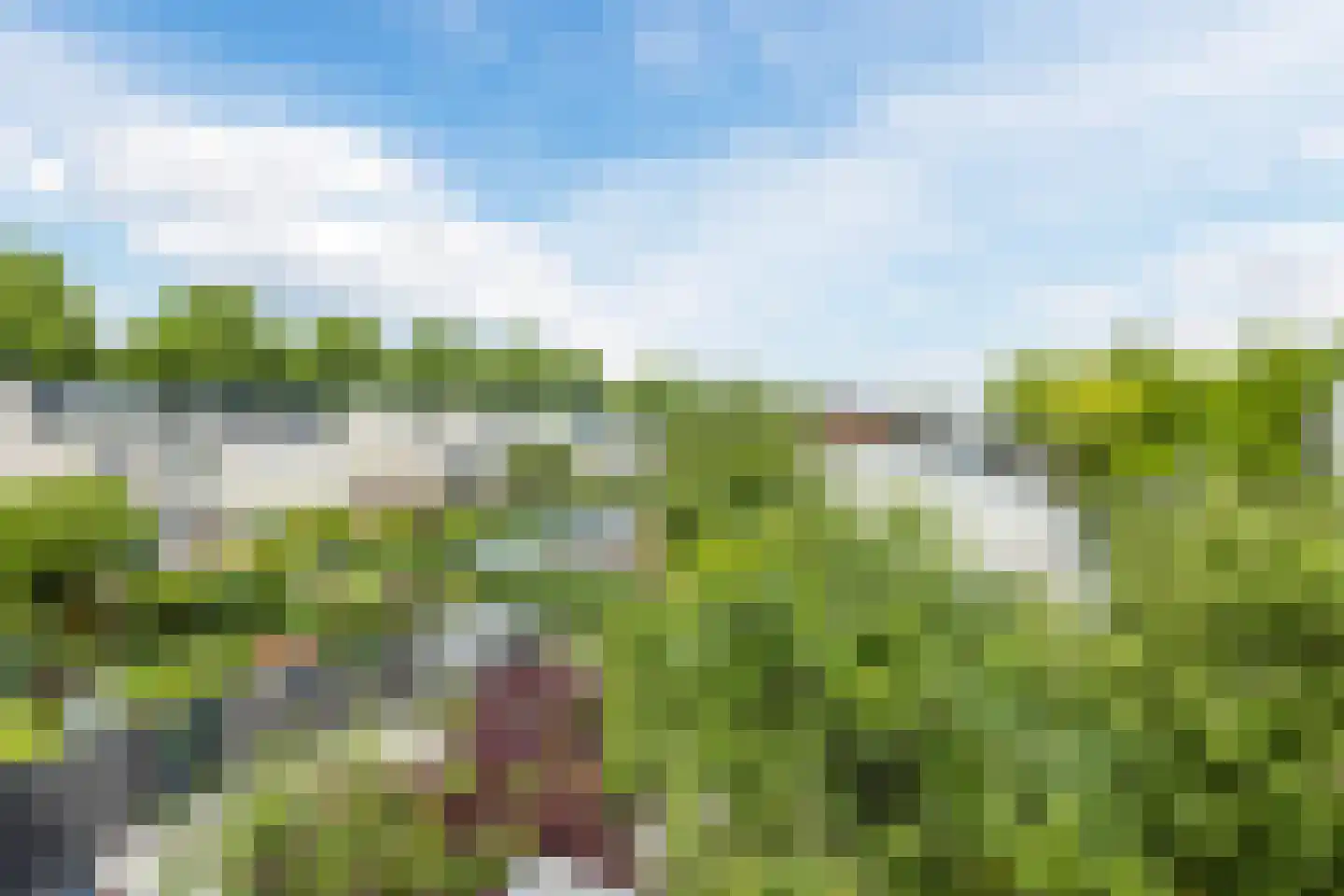 Wessel Ilckenstraat 16 Rotterdam thumbnail 39