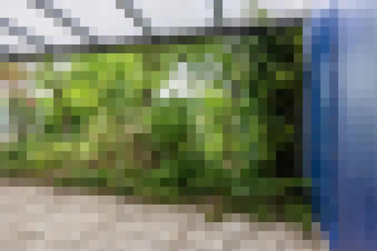 Wessel Ilckenstraat 16 Rotterdam thumbnail 5