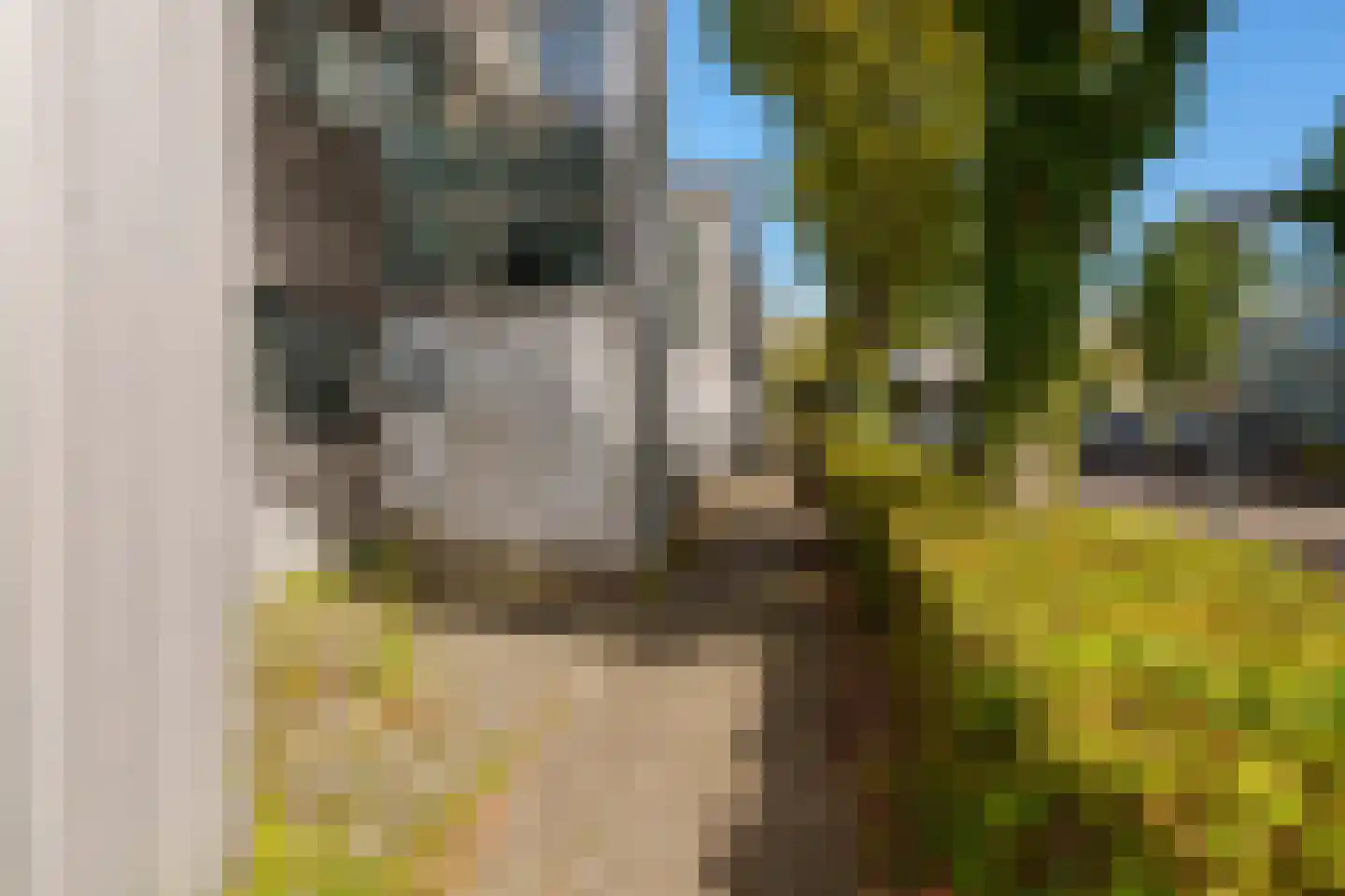 Wessel Ilckenstraat 7 Almere thumbnail 4