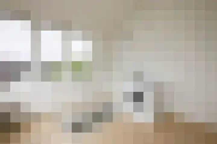 Wessel Ilckenstraat 8 Rotterdam thumbnail 33