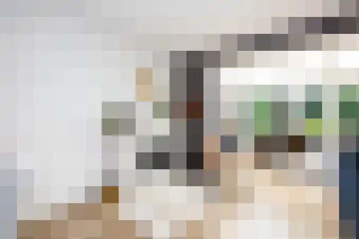 Wessel Ilckenstraat 8 Rotterdam thumbnail 6