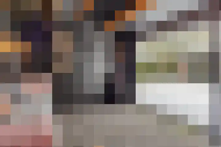 Wessel Jan Knotlaan 15 2e Exloërmond thumbnail 27