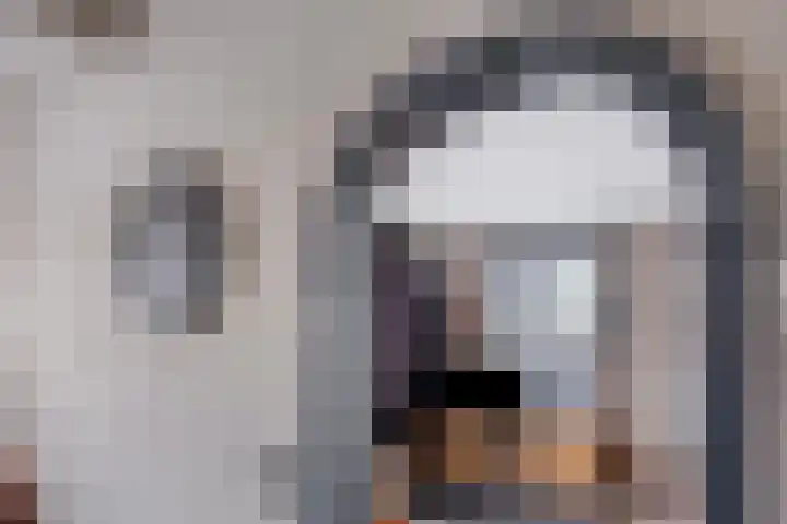 Wessel Jan Knotlaan 15 2e Exloërmond thumbnail 9