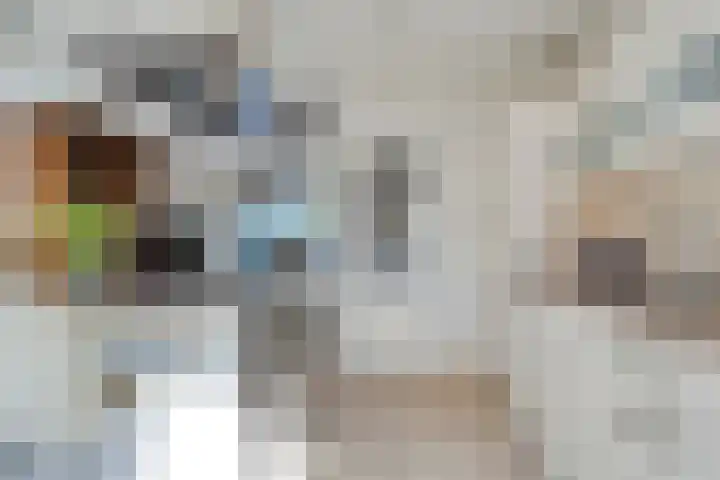 Wessel Zuselerstraat 2 Deventer thumbnail 10