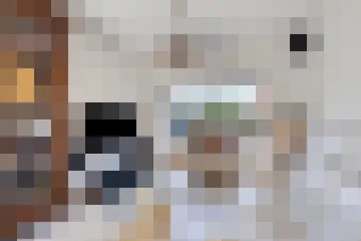 Wessel Zuselerstraat 2 Deventer thumbnail 5
