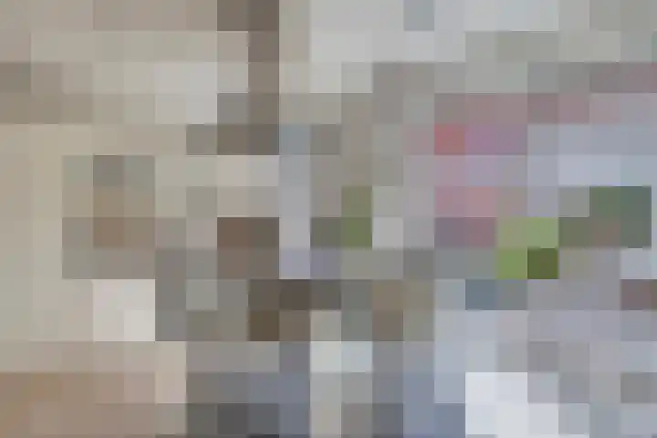 Wessel Zuselerstraat 2 Deventer thumbnail 8