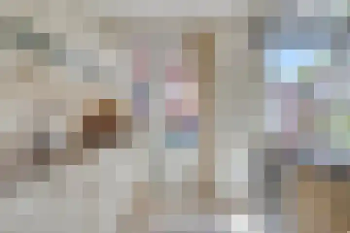 Wessel Zuselerstraat 2 Deventer thumbnail 9