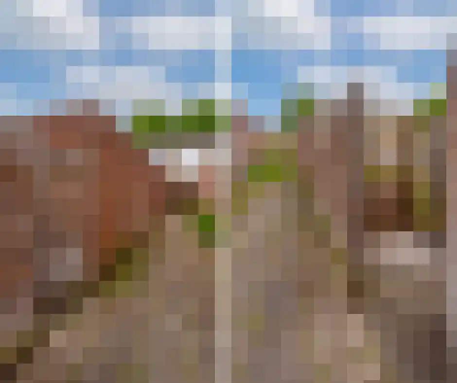 Wesselinusstraat 37 Beek thumbnail 27