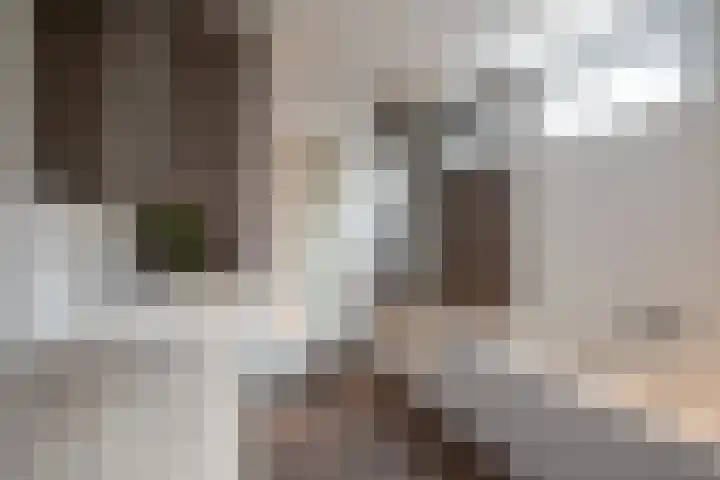 Wesselinusstraat 5 a Beek thumbnail 13
