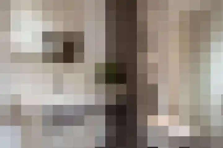 Wesselinusstraat 5 a Beek thumbnail 14