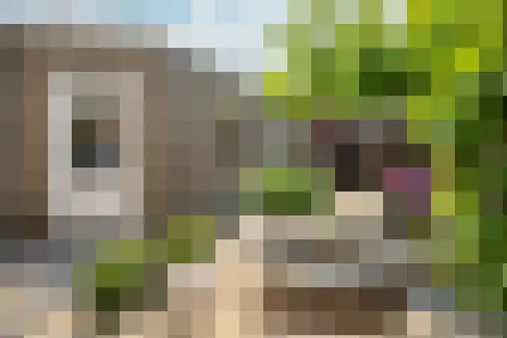 Wesselinusstraat 5 a Beek thumbnail 21