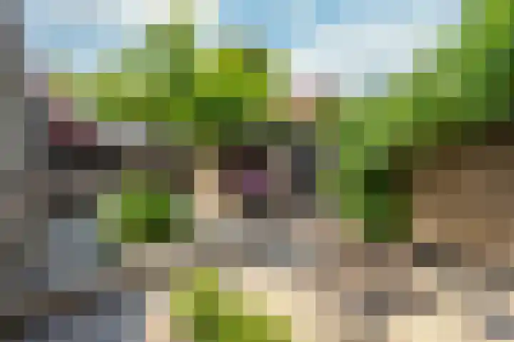 Wesselinusstraat 5 a Beek thumbnail 24