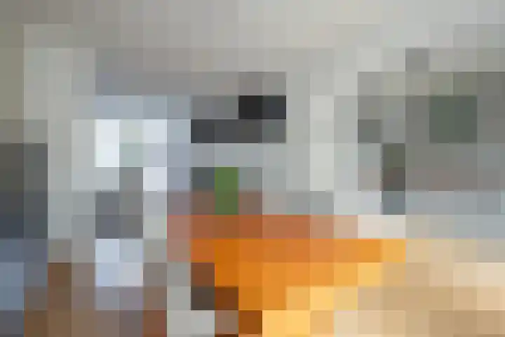 Wesselinusstraat 5 a Beek thumbnail 5