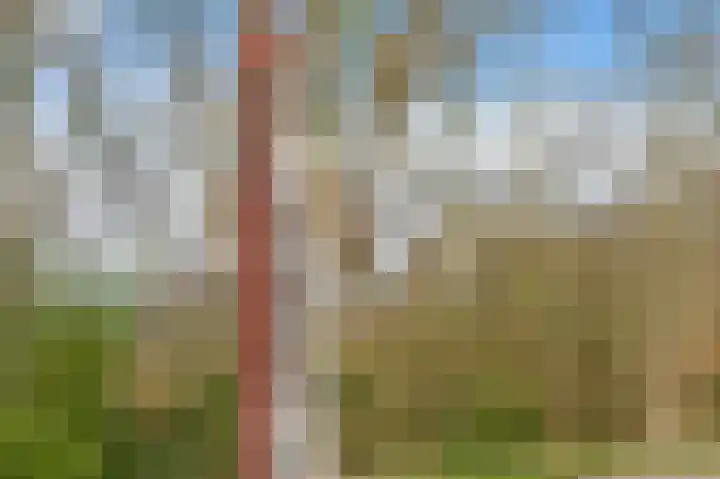 Wesselinusstraat 5 Beek thumbnail 13
