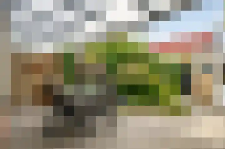 Wesselinusstraat 5 Beek thumbnail 15