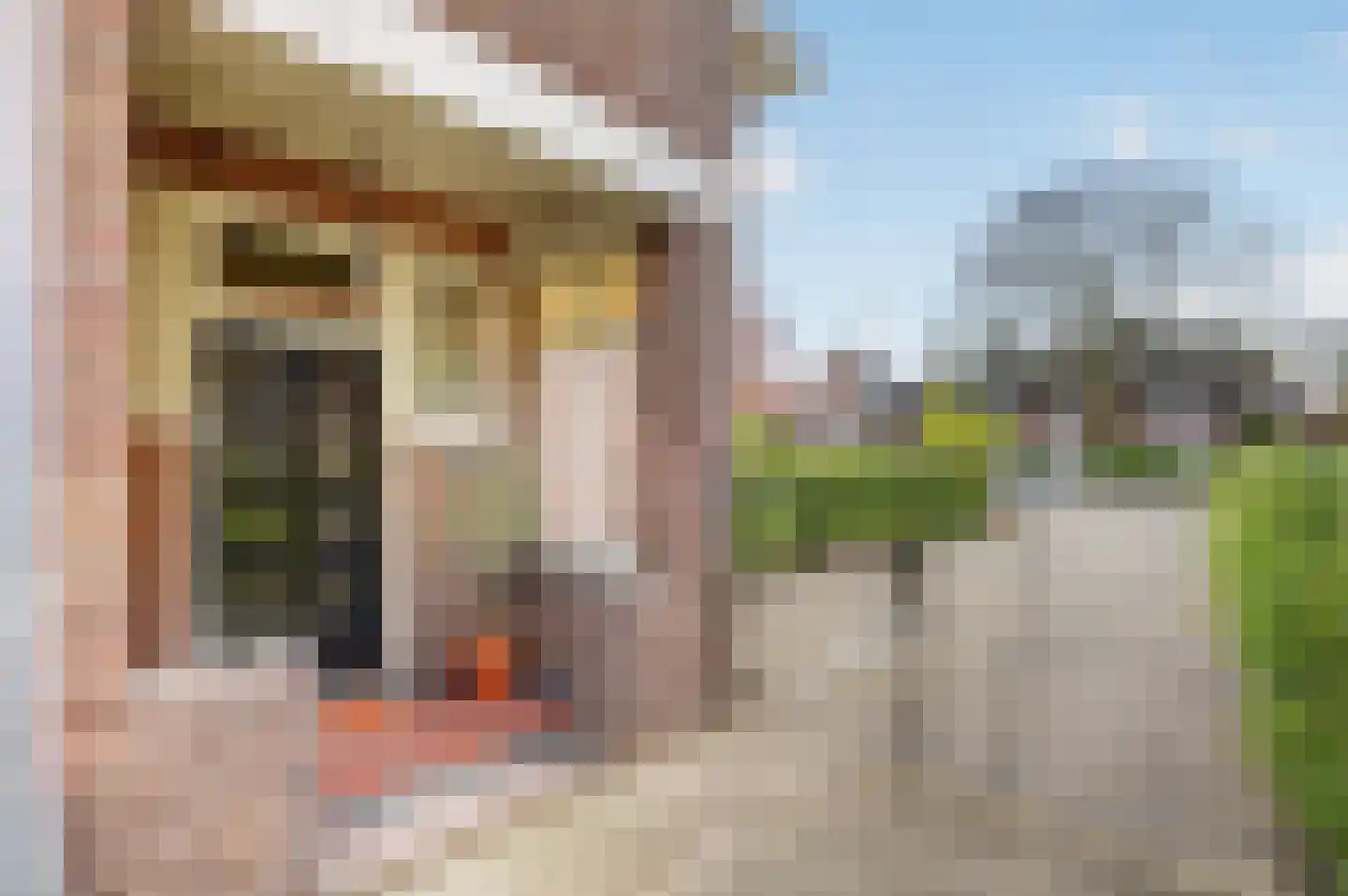 Wesselmanlaan 18 Helmond thumbnail 11