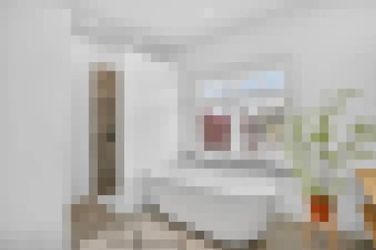 Wesselmanlaan 18 Helmond thumbnail 49