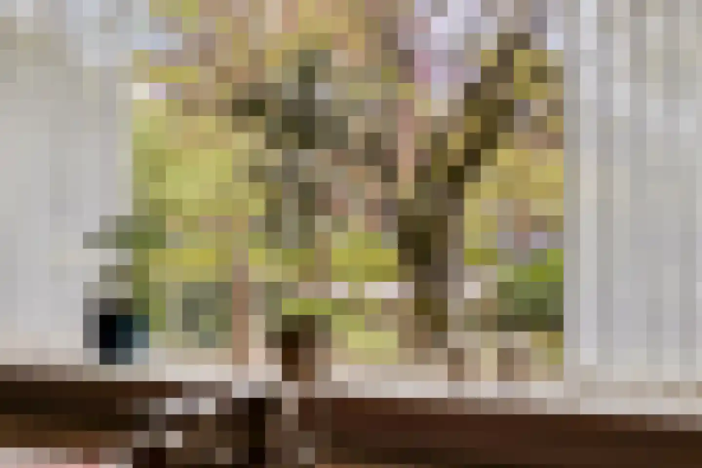 Wesselmanlaan 23 Helmond thumbnail 20