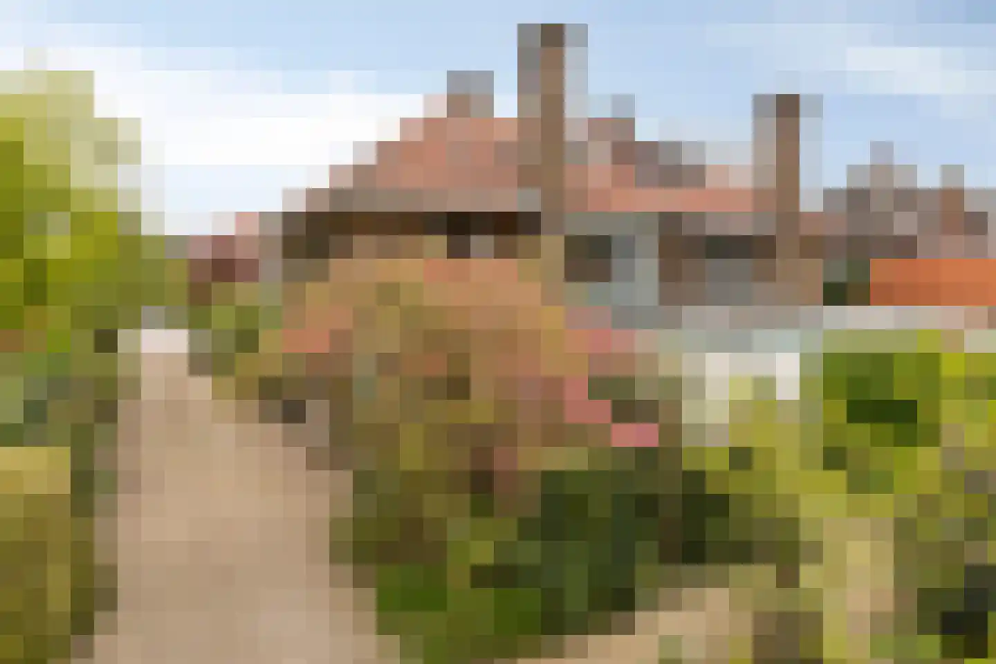 Wesselmanlaan 23 Helmond thumbnail 40
