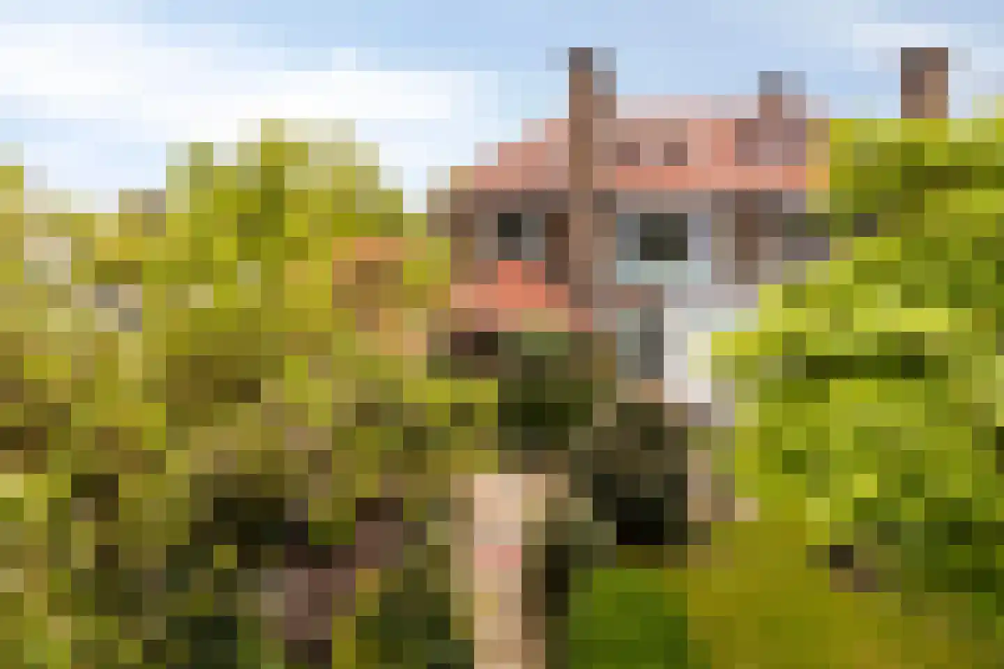 Wesselmanlaan 23 Helmond thumbnail 41