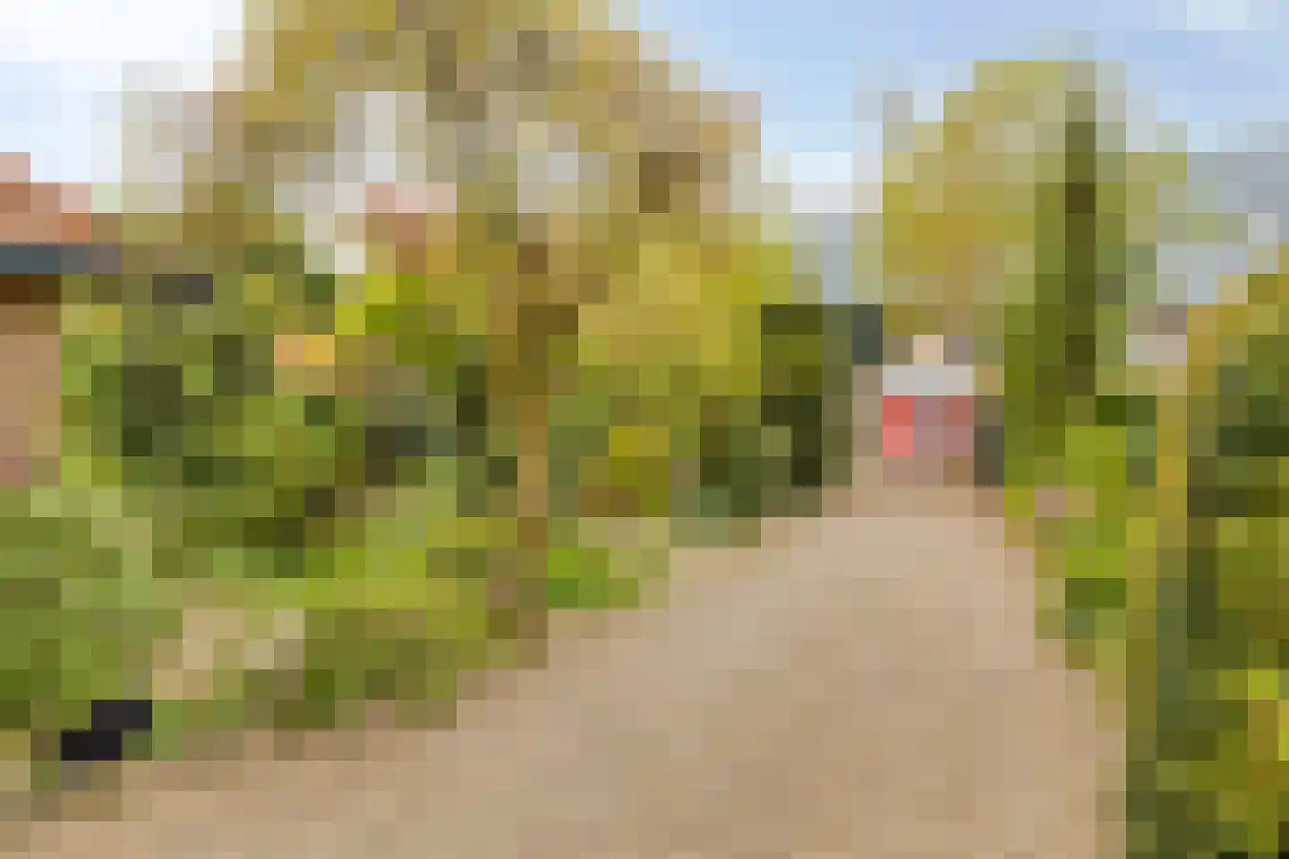 Wesselmanlaan 23 Helmond thumbnail 42