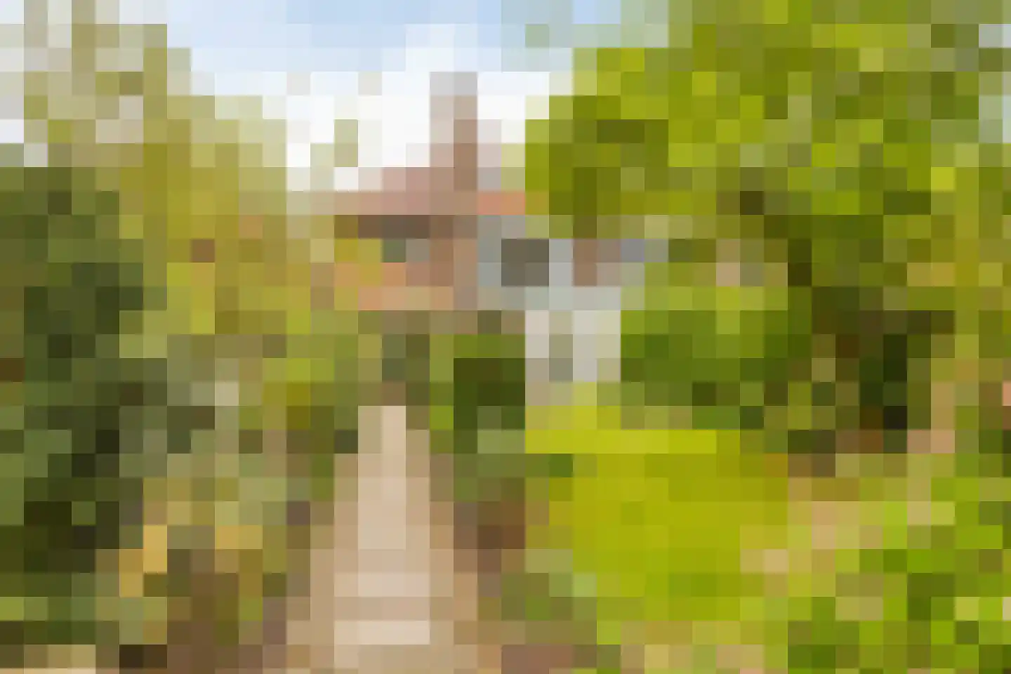Wesselmanlaan 23 Helmond thumbnail 45