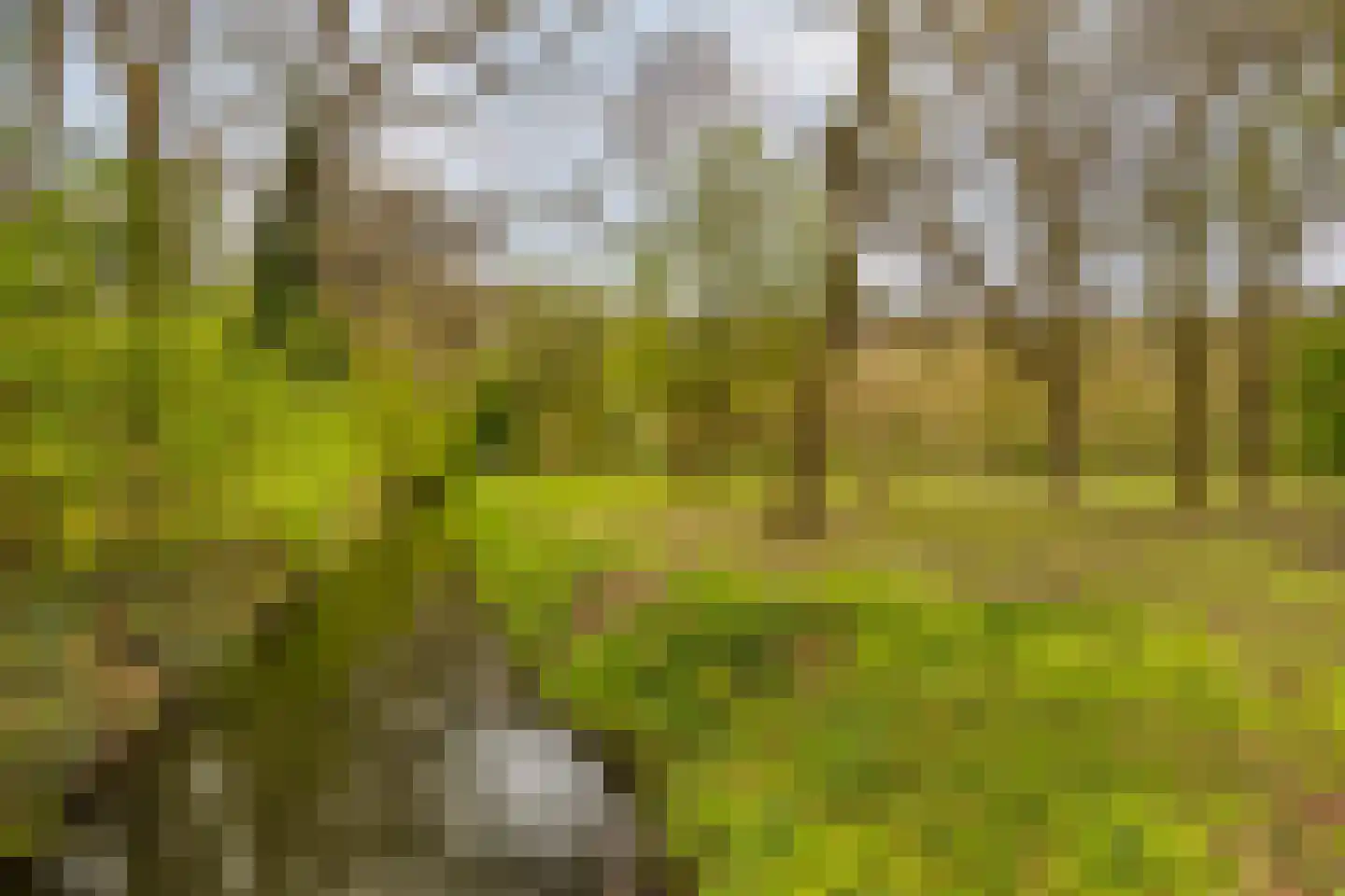 Wesselmanlaan 23 Helmond thumbnail 5