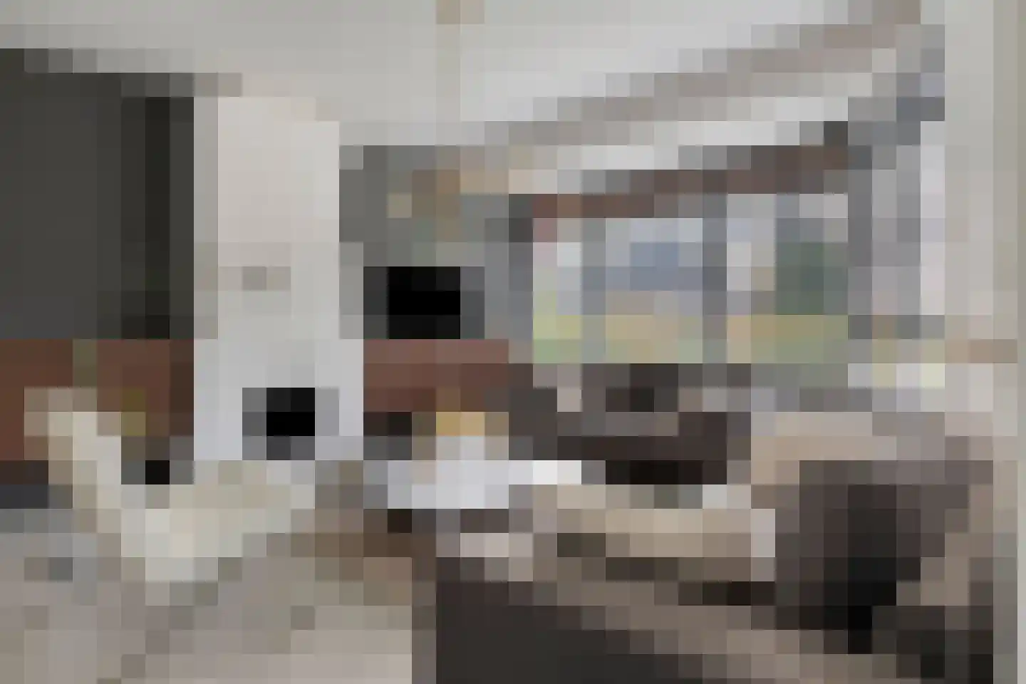 Wesselmanlaan 40 Helmond thumbnail 11