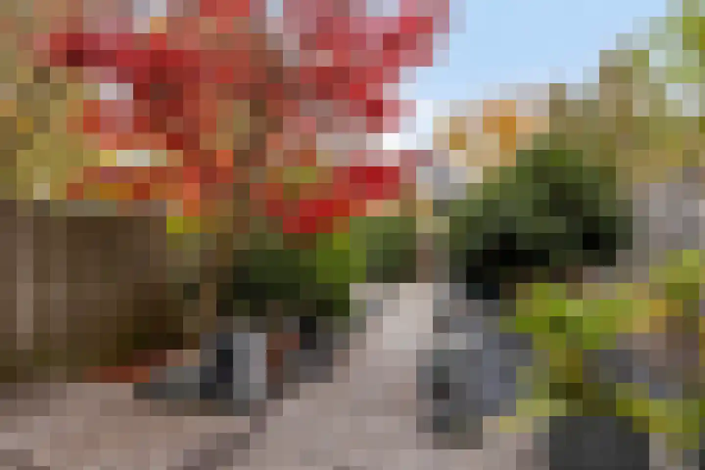 Wesselmanlaan 40 Helmond thumbnail 44