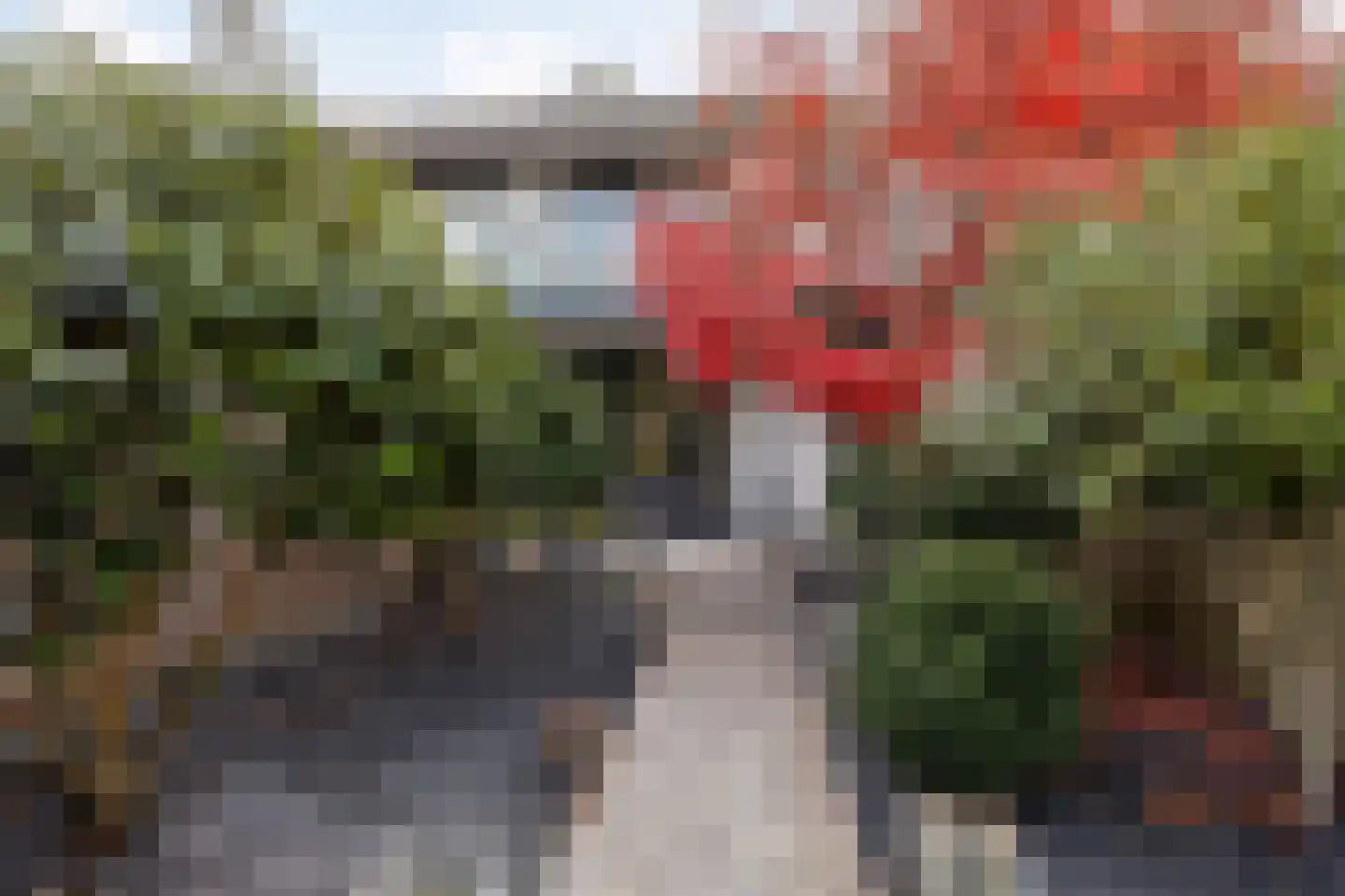 Wesselmanlaan 40 Helmond thumbnail 48