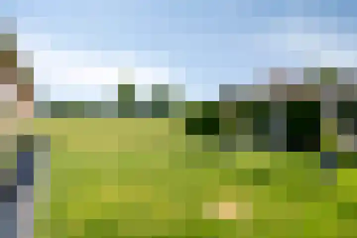 Wesselseweg 127 Kootwijkerbroek thumbnail 48