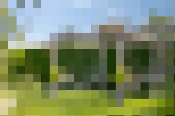 Wesselseweg 127 Kootwijkerbroek thumbnail 49