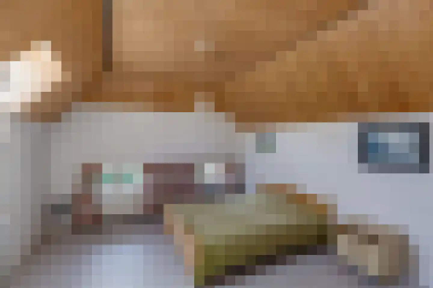 Wesselstraat 4 Varsseveld thumbnail 33