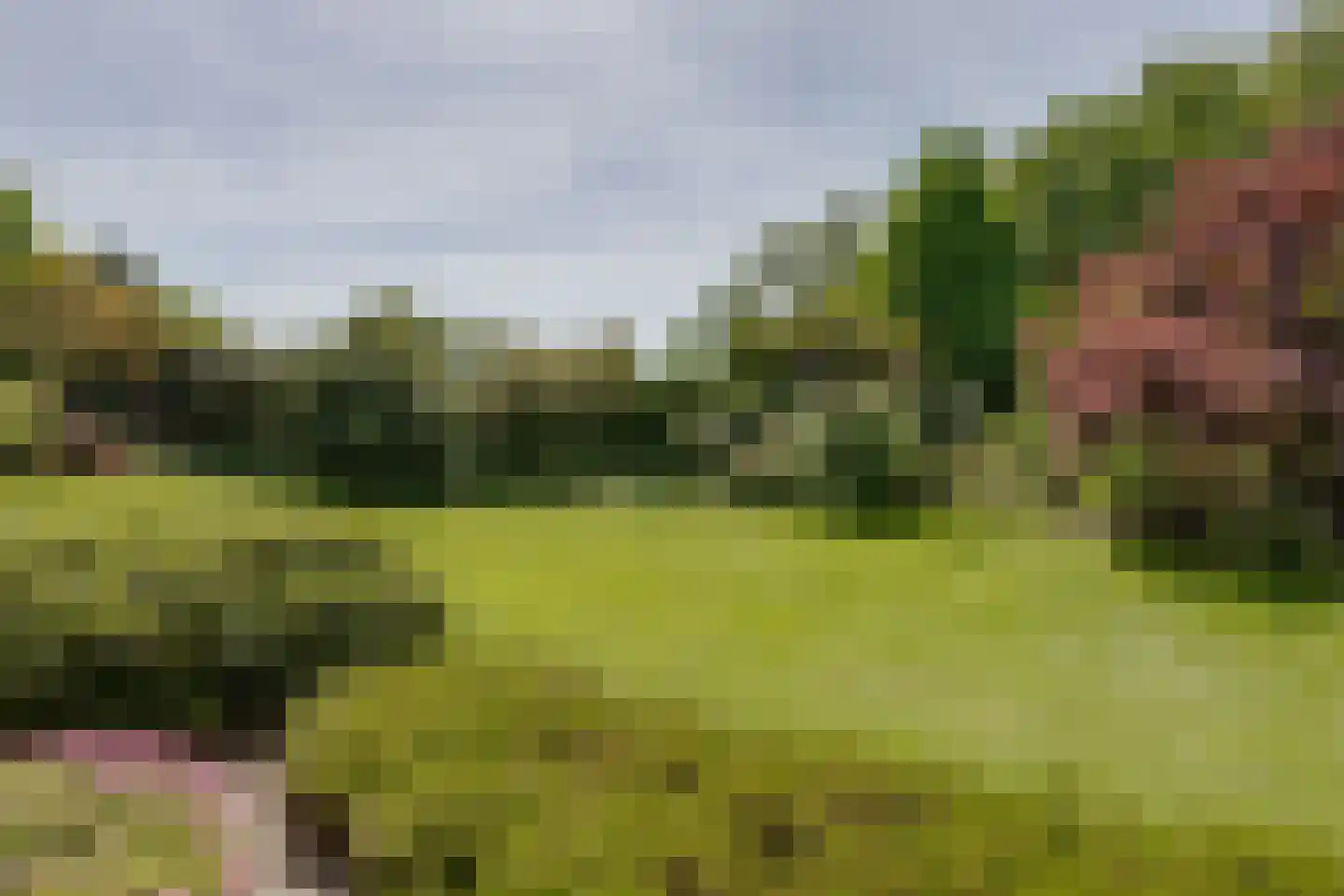Wesselstraat 4 Varsseveld thumbnail 39