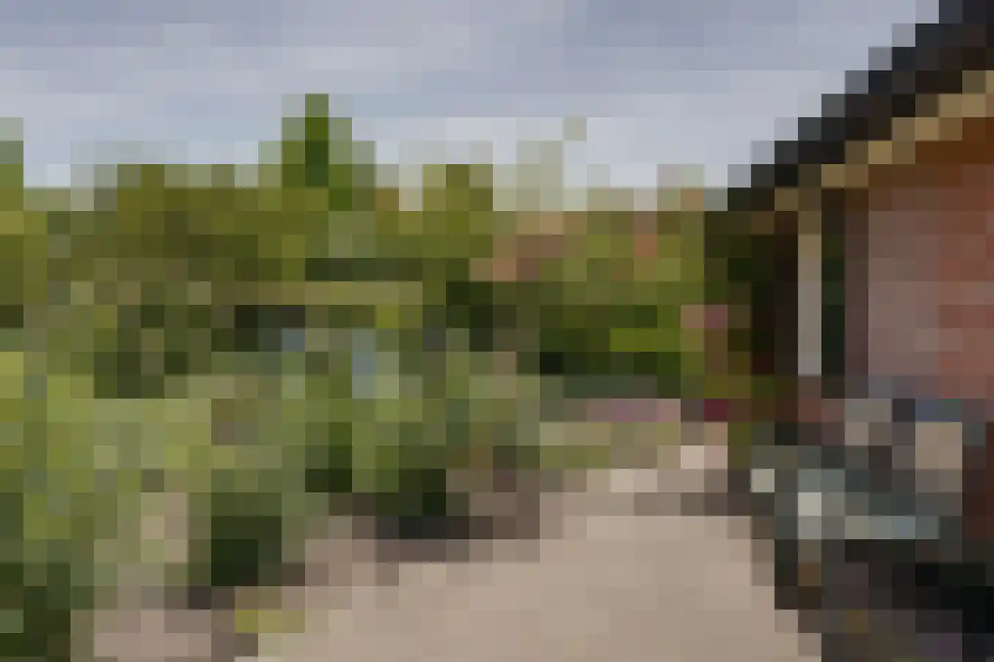 Wesselstraat 4 Varsseveld thumbnail 40