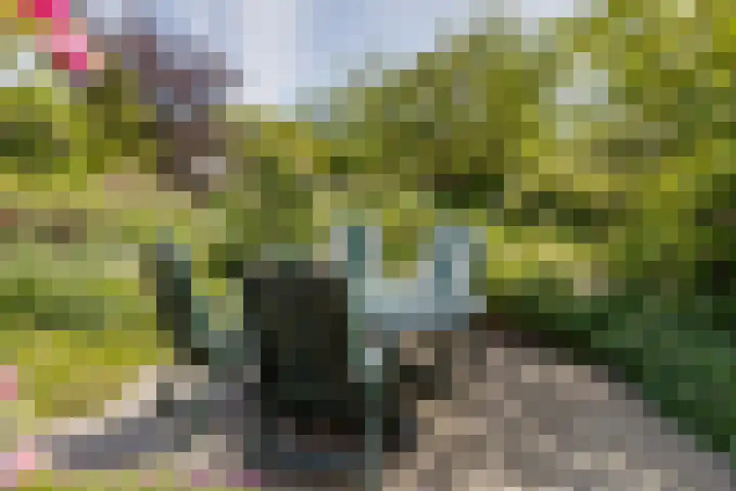 Wesselstraat 4 Varsseveld thumbnail 41