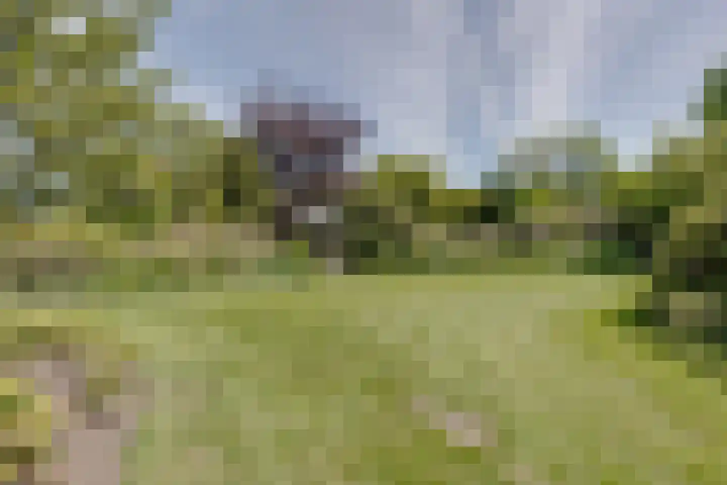 Wesselstraat 4 Varsseveld thumbnail 44