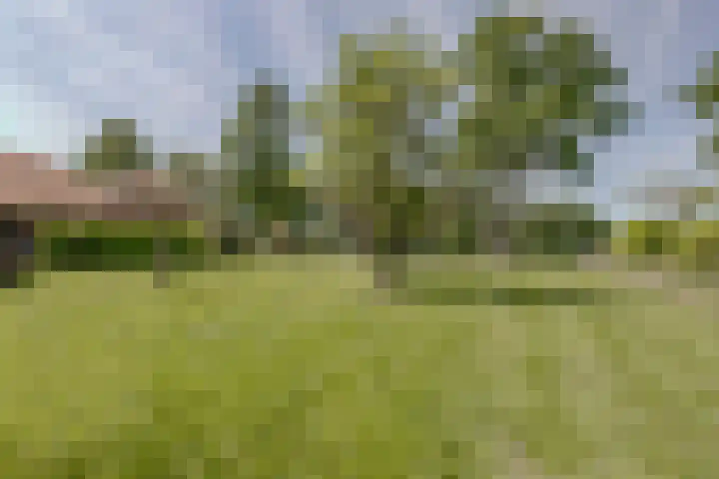 Wesselstraat 4 Varsseveld thumbnail 54