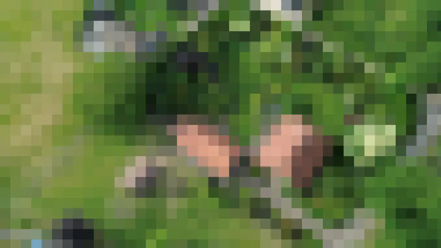 Wesselstraat 4 Varsseveld thumbnail 59