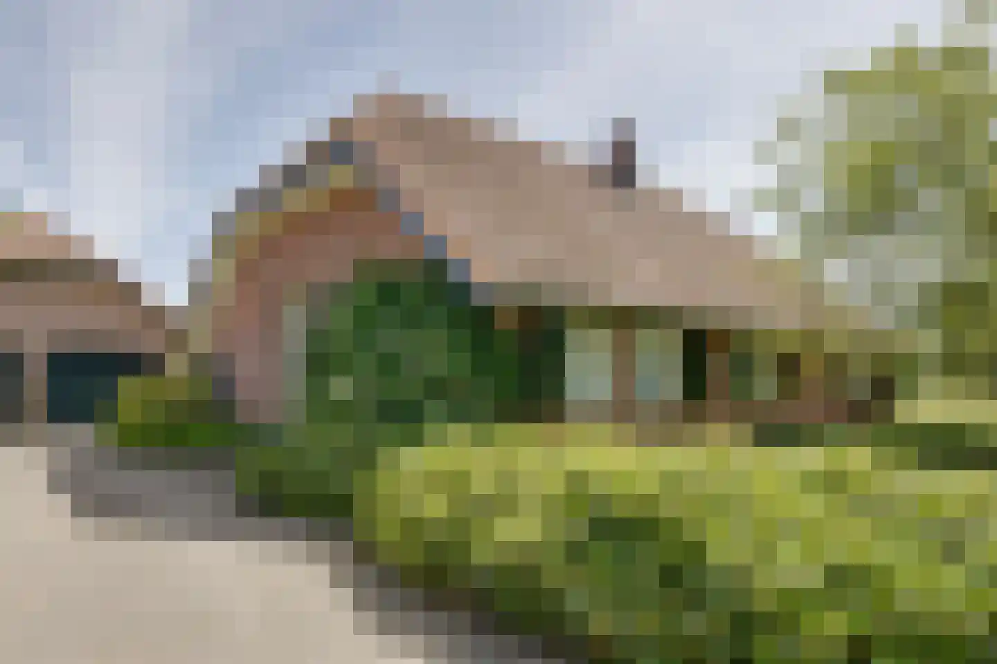 Wesselstraat 4 Varsseveld thumbnail 6