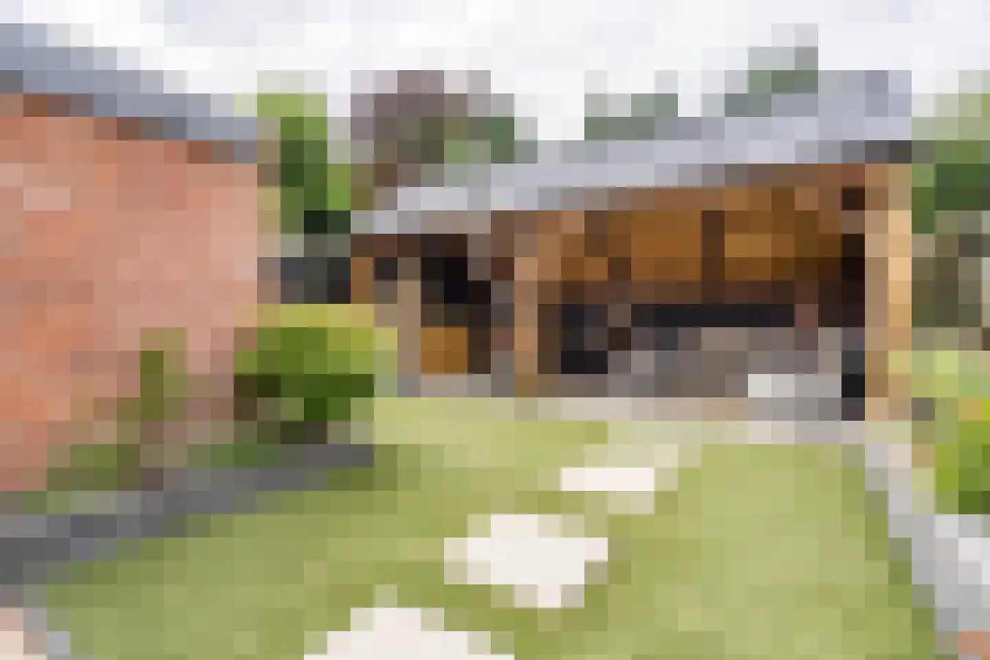 Wessemstraat 19 Weert thumbnail 42