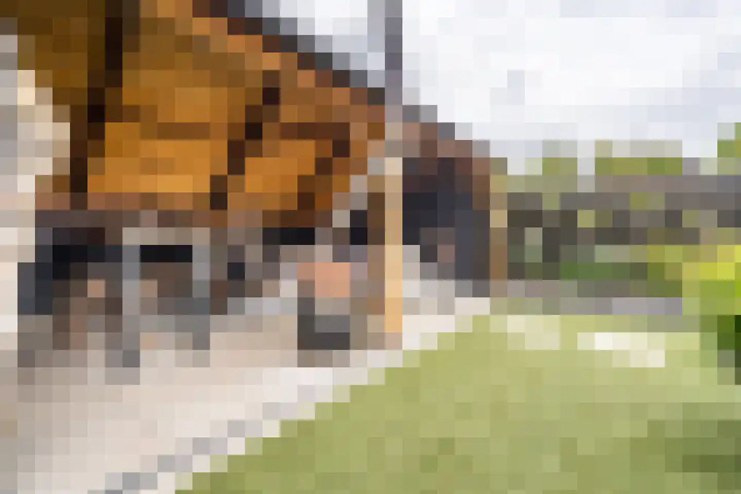 Wessemstraat 19 Weert thumbnail 45