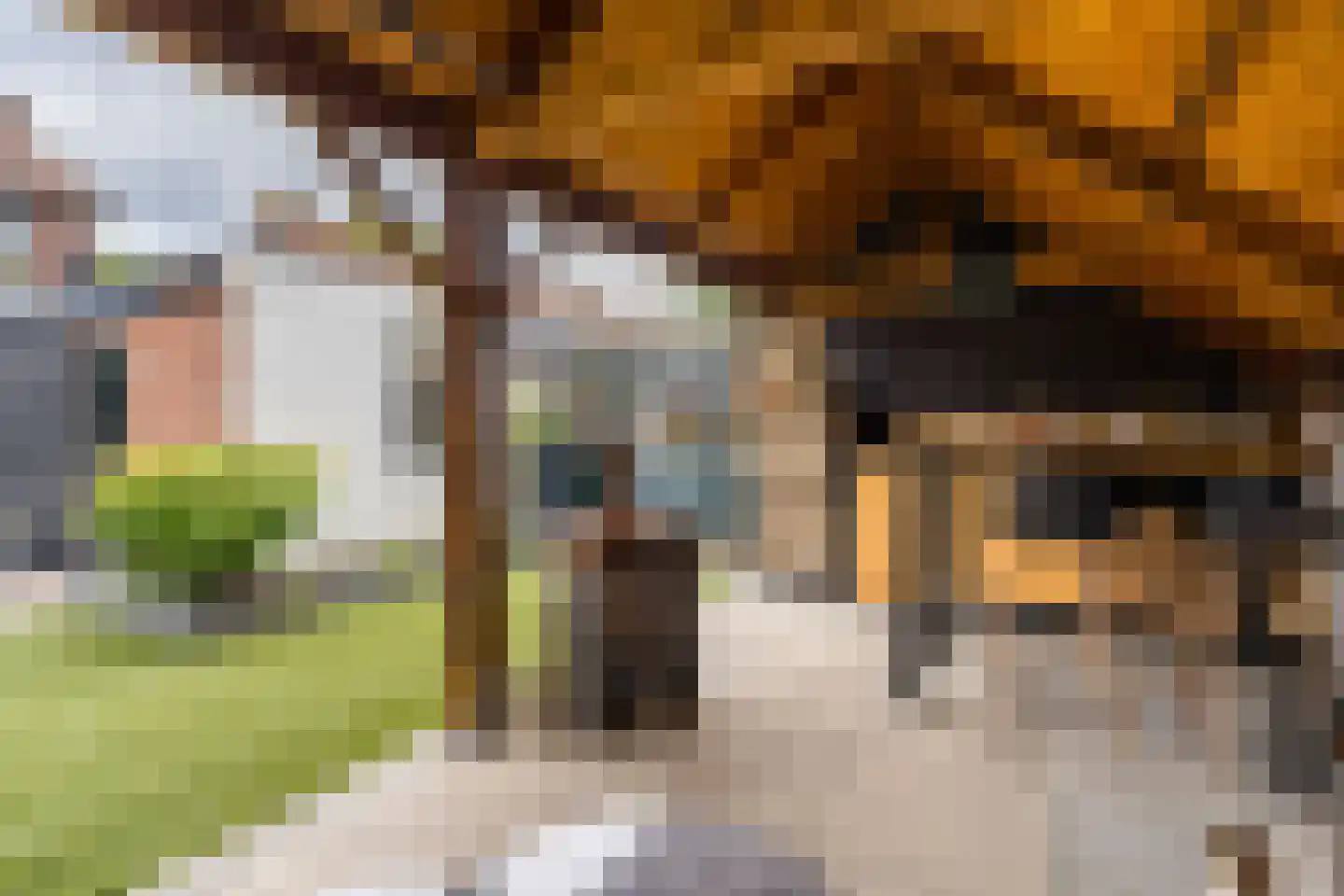 Wessemstraat 19 Weert thumbnail 47