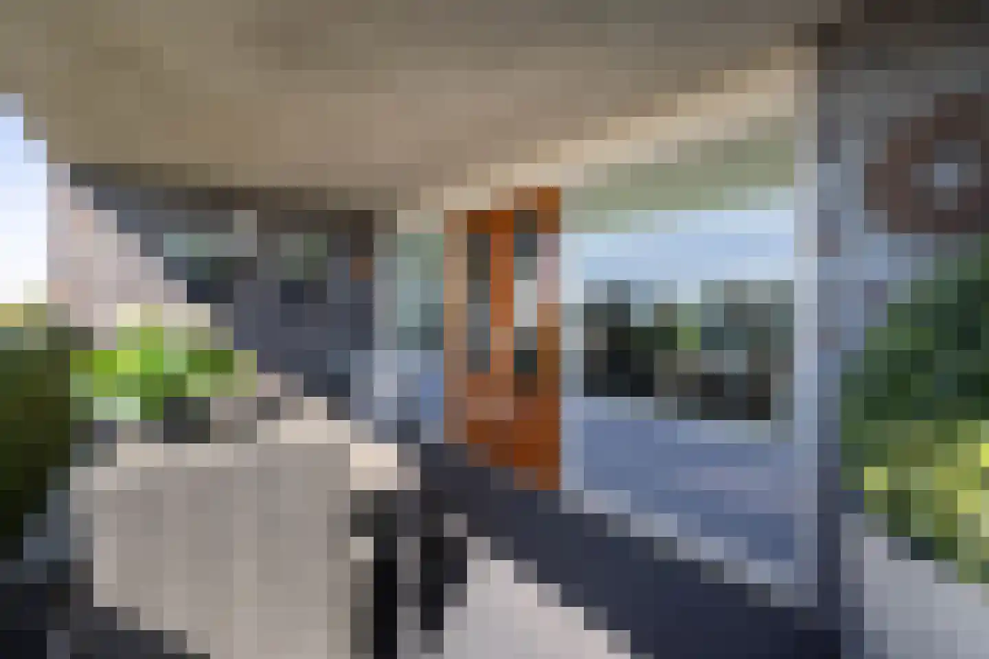 Wessex 123 Hengelo thumbnail 10
